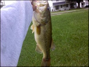 Click image for larger version

Name:	mill pond 7.jpg
Views:	1789
Size:	30.6 KB
ID:	7171
