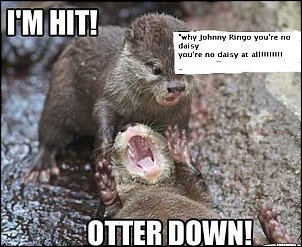 Click image for larger version

Name:	otter.JPG
Views:	255
Size:	46.9 KB
ID:	7197