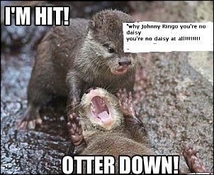 Click image for larger version

Name:	otter.JPG
Views:	1067
Size:	46.9 KB
ID:	7197