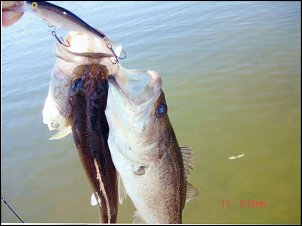 Click image for larger version

Name:	IMG.jpg
Views:	655
Size:	334.0 KB
ID:	7213