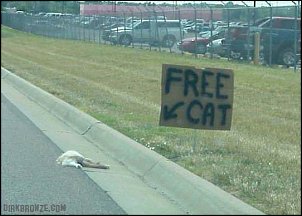 Click image for larger version

Name:	free20cat.jpg
Views:	1413
Size:	32.5 KB
ID:	7246