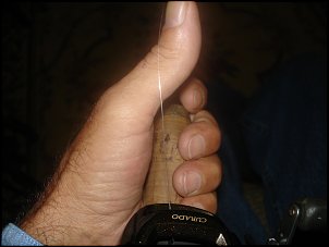 Click image for larger version

Name:	thumb line 003.jpg
Views:	1478
Size:	434.4 KB
ID:	7270