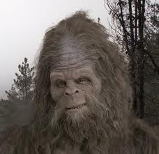 Name:  sasquatch.jpg
Views: 723
Size:  7.2 KB