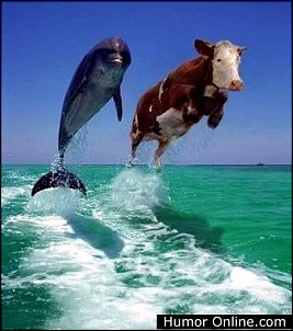 Click image for larger version

Name:	dolphinandcowjumping.jpg
Views:	301
Size:	32.9 KB
ID:	7456