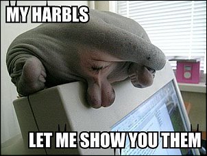 Click image for larger version

Name:	harbyls.jpg
Views:	282
Size:	28.0 KB
ID:	7512