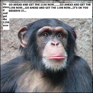 Click image for larger version

Name:	Chimpanzee-Head.jpg
Views:	355
Size:	153.7 KB
ID:	7517