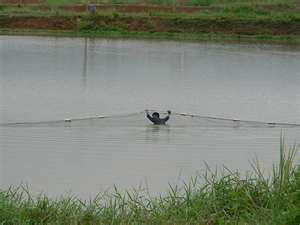 Name:  longline.jpg
Views: 166
Size:  7.6 KB