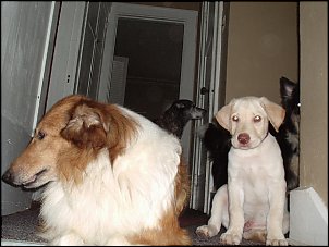 Click image for larger version

Name:	HUDSON-MEEKA.JPG
Views:	310
Size:	169.5 KB
ID:	758