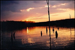 Click image for larger version

Name:	evening fishing  1.JPG
Views:	368
Size:	109.3 KB
ID:	7605