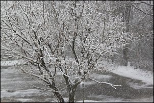 Click image for larger version

Name:	more snow and chili 005.JPG
Views:	321
Size:	182.9 KB
ID:	7612