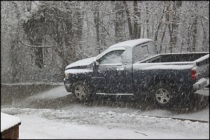 Click image for larger version

Name:	more snow and chili 004.JPG
Views:	322
Size:	157.6 KB
ID:	7613