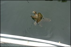 Click image for larger version

Name:	DSC06200.JPG
Views:	730
Size:	50.2 KB
ID:	7625