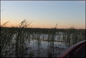 Click image for larger version

Name:	Fla. Trip And TIGERTOWN 065.JPG
Views:	477
Size:	99.8 KB
ID:	7685