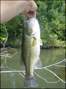 Click image for larger version

Name:	dd.JPG
Views:	769
Size:	52.6 KB
ID:	773