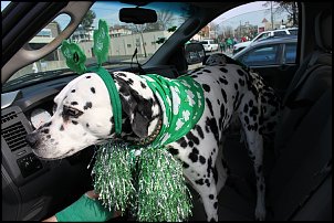 Click image for larger version

Name:	St. Patty 059.JPG
Views:	175
Size:	173.7 KB
ID:	7745