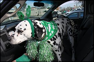 Click image for larger version

Name:	St. Patty 059.JPG
Views:	267
Size:	173.7 KB
ID:	7745