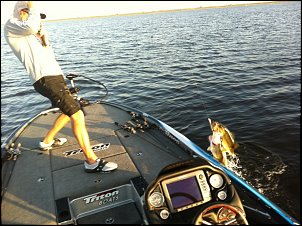 Click image for larger version

Name:	Howell, 3 fish_0.jpg
Views:	1183
Size:	302.7 KB
ID:	7770