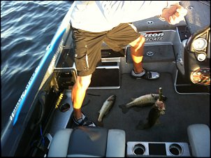 Click image for larger version

Name:	Howell, 3 fish, #2.jpg
Views:	1196
Size:	232.3 KB
ID:	7771