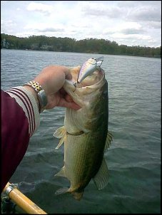 Click image for larger version

Name:	5.3# Bass 4-22-12.jpg
Views:	588
Size:	38.0 KB
ID:	7839