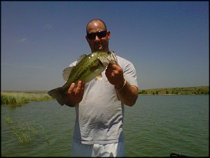 Click image for larger version

Name:	wilson bass.jpg
Views:	1760
Size:	401.7 KB
ID:	7863