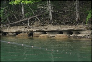 Click image for larger version

Name:	Dale Hollow 089.JPG
Views:	397
Size:	200.1 KB
ID:	7892