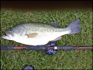 Click image for larger version

Name:	5.33 with tour kvd.jpeg
Views:	471
Size:	47.3 KB
ID:	7940