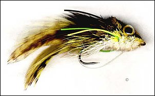 Click image for larger version

Name:	divefrog.jpg
Views:	606
Size:	21.8 KB
ID:	8025