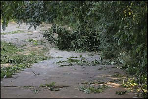 Click image for larger version

Name:	storm damage 012.JPG
Views:	834
Size:	366.2 KB
ID:	8035