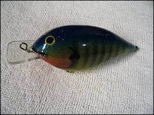 Click image for larger version

Name:	Lure, bluegill 002 (s).JPG
Views:	623
Size:	40.1 KB
ID:	813