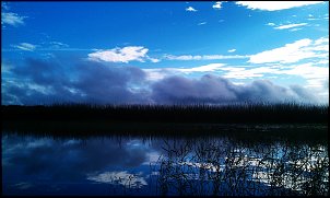 Click image for larger version

Name:	IMAG1339.jpg
Views:	1592
Size:	517.6 KB
ID:	8247