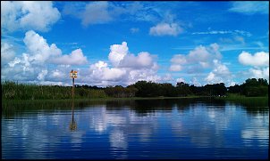 Click image for larger version

Name:	IMAG1358.jpg
Views:	1624
Size:	501.5 KB
ID:	8249