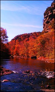 Click image for larger version

Name:	IMAG1570.jpg
Views:	3040
Size:	501.1 KB
ID:	8282