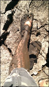 Click image for larger version

Name:	Muddy Leg.jpg
Views:	612
Size:	518.9 KB
ID:	8350