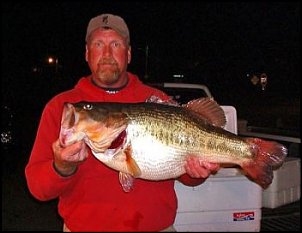 Click image for larger version

Name:	miss bass.jpg
Views:	443
Size:	16.5 KB
ID:	8458