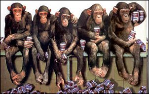 Click image for larger version

Name:	drunken_monkeys1.jpg
Views:	332
Size:	19.2 KB
ID:	8493