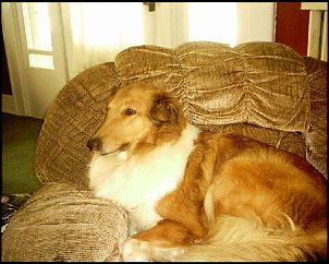 Click image for larger version

Name:	MEEKA.jpg
Views:	351
Size:	44.0 KB
ID:	850