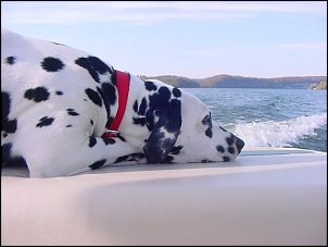 Click image for larger version

Name:	pepper.jpg
Views:	689
Size:	27.5 KB
ID:	8522