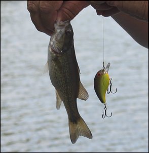 Click image for larger version

Name:	I drove the boat 003.JPG
Views:	526
Size:	192.3 KB
ID:	8544