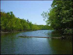 Click image for larger version

Name:	Lake-Ouachita-creek-arm.jpg
Views:	693
Size:	62.0 KB
ID:	8716