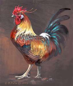 Name:  rooster.jpg
Views: 1033
Size:  9.5 KB