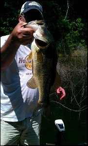 Click image for larger version

Name:	Pond Bass.jpg
Views:	615
Size:	75.1 KB
ID:	8739