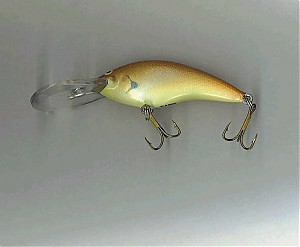 Click image for larger version

Name:	Moonglow crankbait.jpg
Views:	642
Size:	23.3 KB
ID:	244