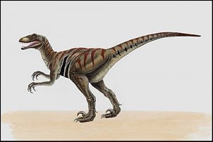 Click image for larger version

Name:	Deinonychus000.jpg
Views:	445
Size:	19.3 KB
ID:	6513