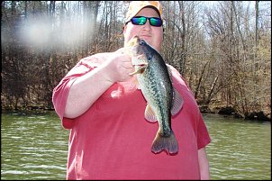 Click image for larger version

Name:	baits 014.JPG
Views:	381
Size:	171.0 KB
ID:	6407