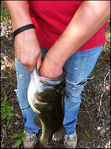 Click image for larger version

Name:	Matt on the pond 2.jpg
Views:	597
Size:	97.2 KB
ID:	8742