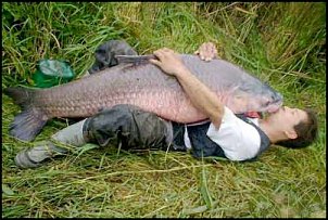 Click image for larger version

Name:	fishlove.jpg
Views:	731
Size:	21.6 KB
ID:	8202