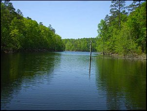 Click image for larger version

Name:	Lake-Ouachita-cove-4-29-13.jpg
Views:	684
Size:	52.6 KB
ID:	8717