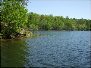 Click image for larger version

Name:	Lake-Ouachita-point.jpg
Views:	659
Size:	69.1 KB
ID:	8718