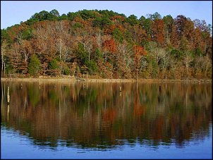 Click image for larger version

Name:	Fall-fishing-002.jpg
Views:	493
Size:	67.4 KB
ID:	2838