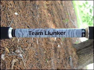 Click image for larger version

Name:	lunker.JPG
Views:	363
Size:	100.5 KB
ID:	5493